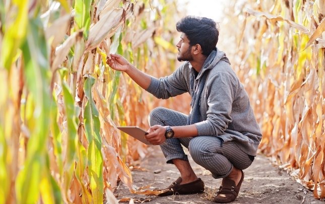 Odisha Launches Organic Farming Mission to Combat Rising Cancer Rates